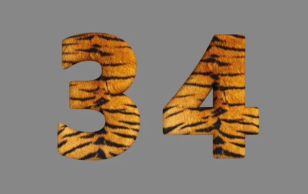 Typo 3d tijger. — Stockfoto