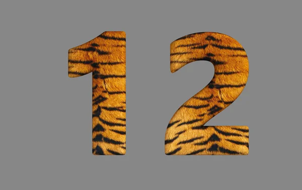 Typo tigre 3d . —  Fotos de Stock