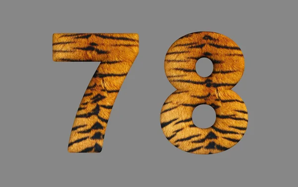 Typo 3d tijger. — Stockfoto
