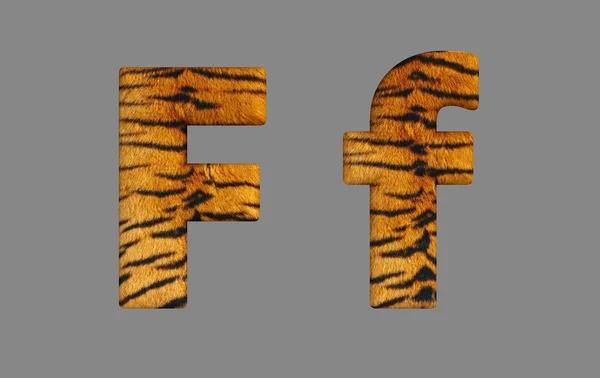 Type 3D-tijger. — Stockfoto