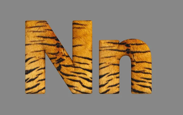 Tipo tigre 3d . — Fotografia de Stock