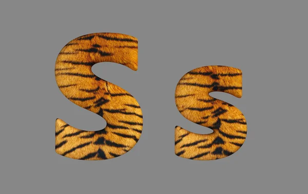 Type 3D-tijger. — Stockfoto