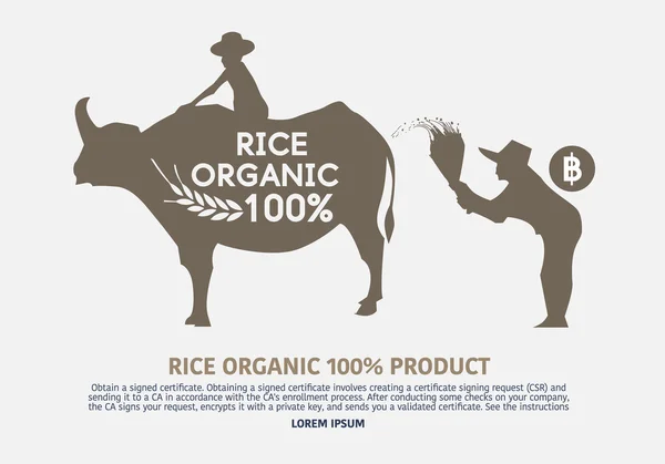 Illustration of organic rice . — 스톡 벡터