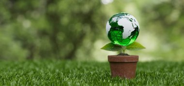 Çevresel sürdürülebilirlik kavramı. Yeşil toprak küre çimlerin üzerinde, 3 boyutlu resimleme..