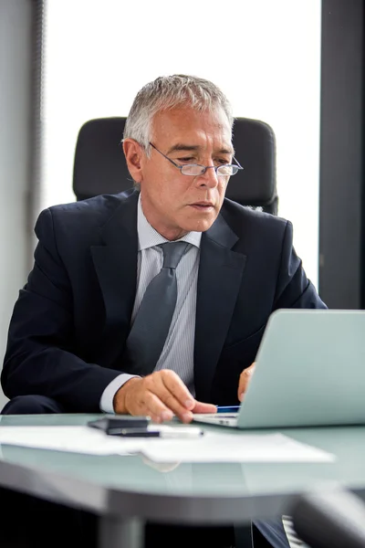 Retrato de meio comprimento de um empresário atencioso no escritório enquanto usa o computador portátil — Fotografia de Stock