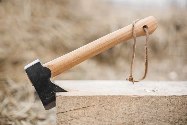 Axe in wood — Stock Photo, Image