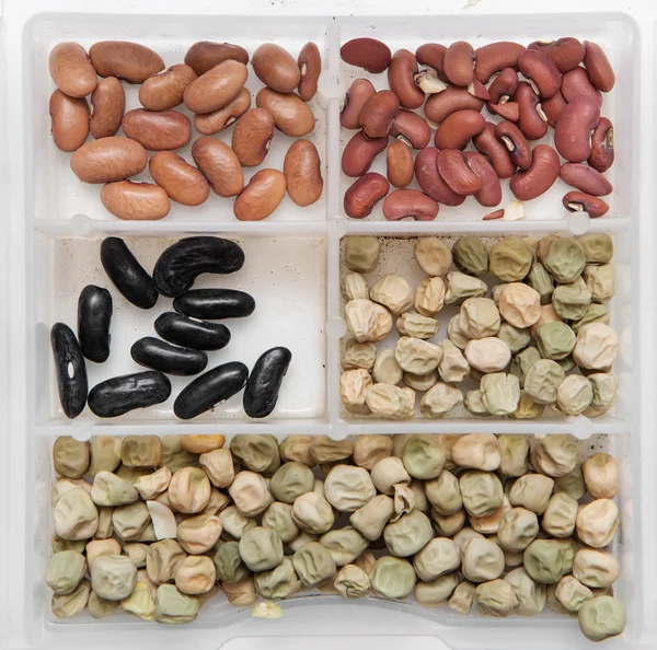 Diversi semi di leguminose — Foto Stock