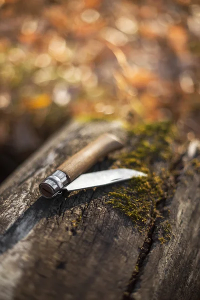 Cuchillo plegable en el registro — Foto de Stock