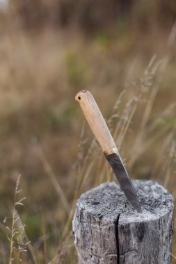 günlük Şam çelik bıçak