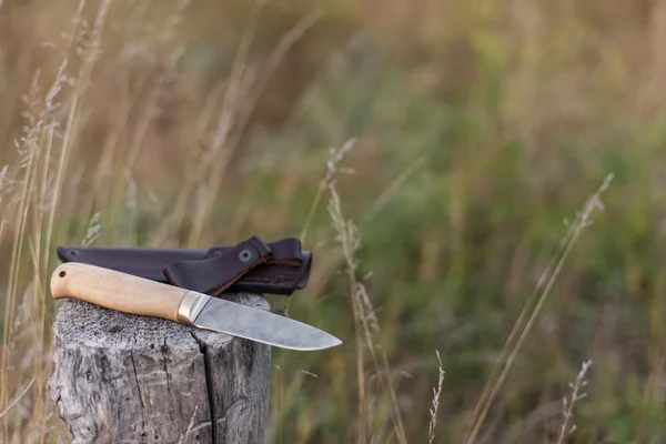 Cuchillo de acero damasco en el tronco — Foto de Stock