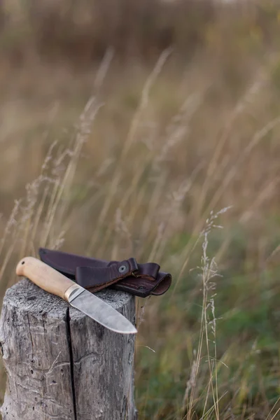 Damascus steel knife on log — Stock Photo, Image