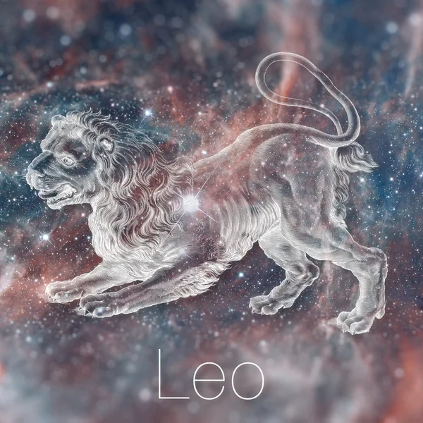 Signo zodiacal astrológico - Leo. Dibujo astrológico vintage. Cielo galáctico en el fondo. Se puede utilizar para horóscopos. Elementos de esta imagen proporcionados por la NASA . —  Fotos de Stock