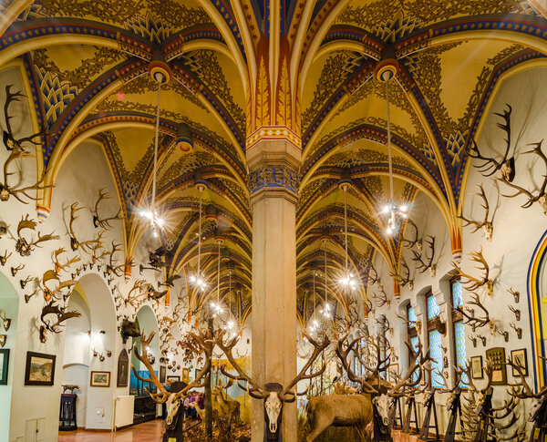 Интерьер замка Вайдахуньяд в Будапеште
.