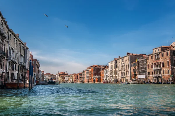 Grand Canal'da güneşli gün Venedik, İtalya üzerinde göster. — Stok fotoğraf