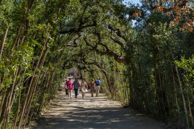 Park sokak, Boboli Bahçeleri, Floransa'da turist yürümek.