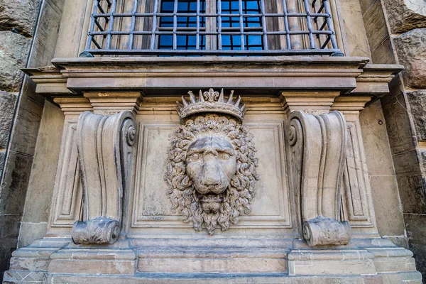 Alívio de cabeça de leão na fachada do Palácio Pitti, Florença, Itália — Fotografia de Stock