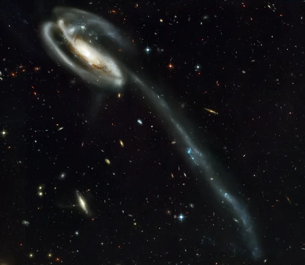 The Tadpole is a barred spiral galaxy in the constellation Draco — Stock Photo, Image