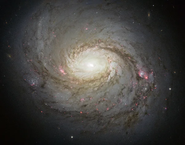 Messier 77 este o galaxie spirală blocată în constelația Cetus. — Fotografie, imagine de stoc