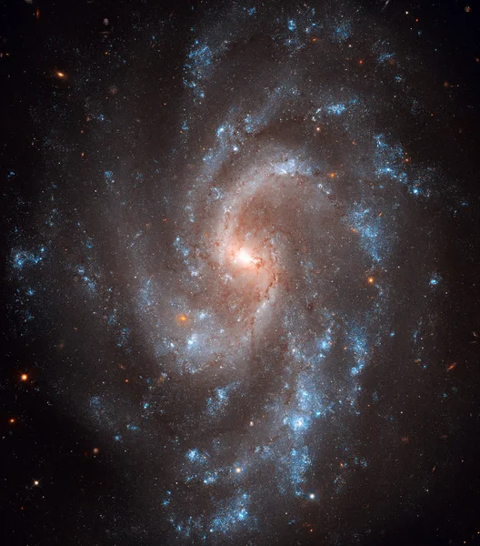 NGC 5584 is a spiral galaxy in the constellation Virgo. — Zdjęcie stockowe