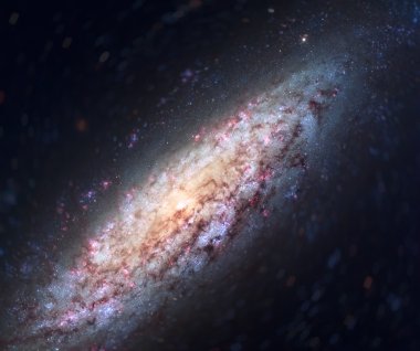 NGC 6503 bir alan cüce yerel boşluğu bulunan sarmal gökada.