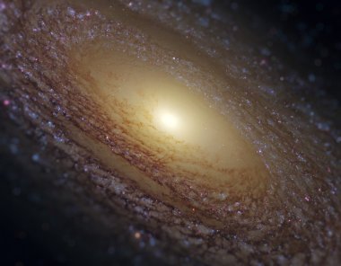 Giant spiral galaxy (NGC 2841) in the constellation Ursa Major.