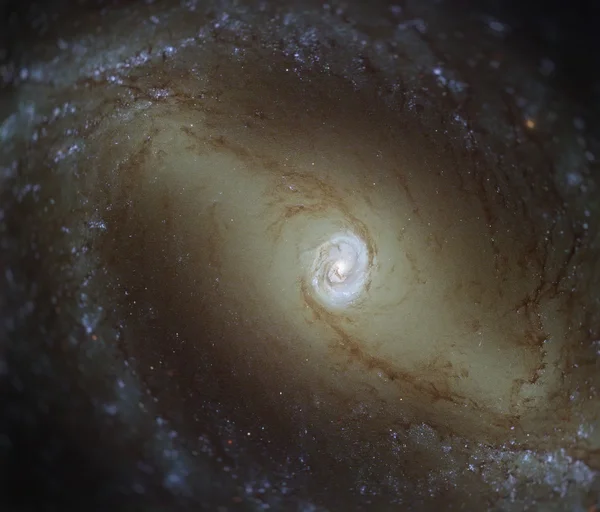 Ngc 1433 ist eine Spiralgalaxie im Sternbild Dorado. — Stockfoto
