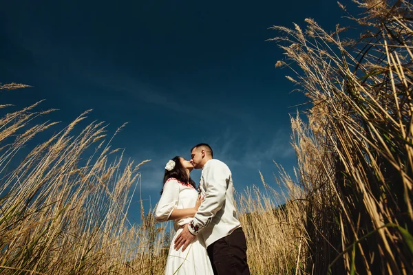 Brunett brud och eleganta stilfulla brudgummen — Stockfoto