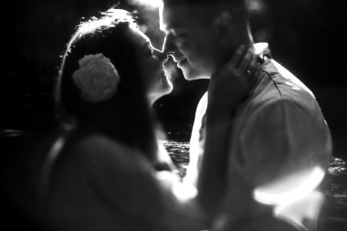 esmer gelin ve zarif damat