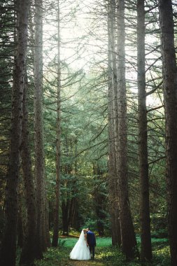 mutlu gelin ve zarif damat