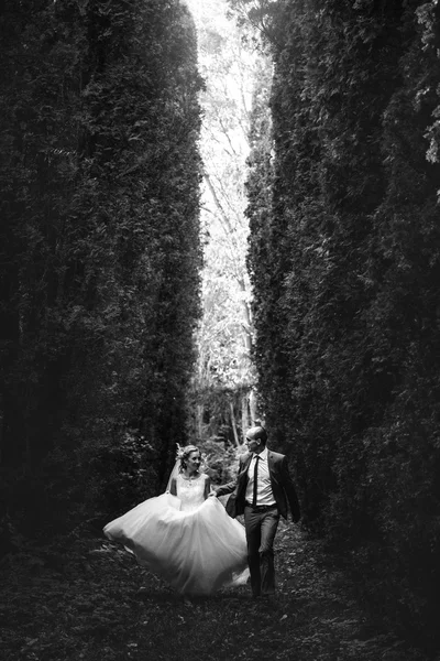 Szőke menyasszony és a vőlegény elegáns — Stock Fotó