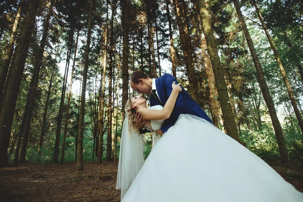 Boldog menyasszony és a vőlegény elegáns — Stock Fotó