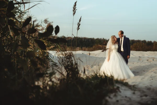 Novia elegante y novio elegante —  Fotos de Stock