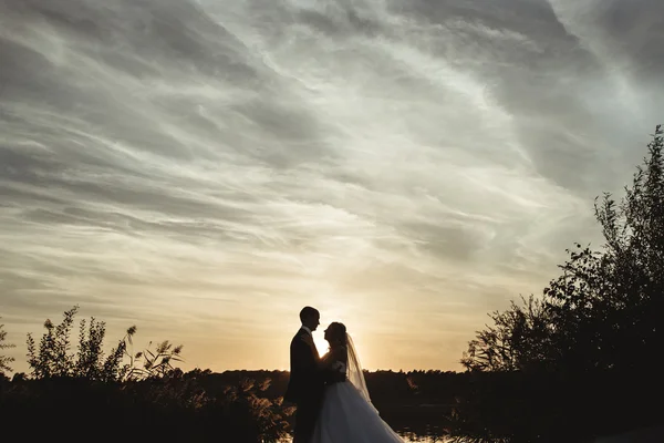 Novia elegante y novio elegante —  Fotos de Stock