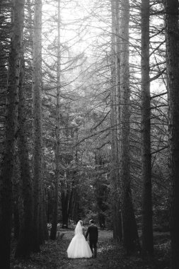 mutlu gelin ve zarif damat