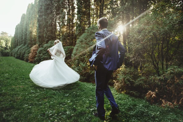 Novia feliz y novio elegante — Foto de Stock