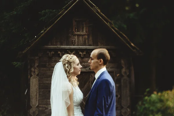 Ευτυχισμένη νύφη και τον γαμπρό κομψό — Φωτογραφία Αρχείου