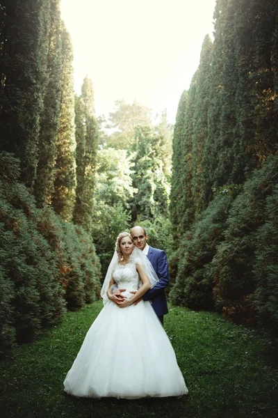 Novia feliz y novio elegante — Foto de Stock