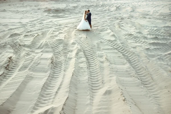 Novia elegante y novio elegante —  Fotos de Stock