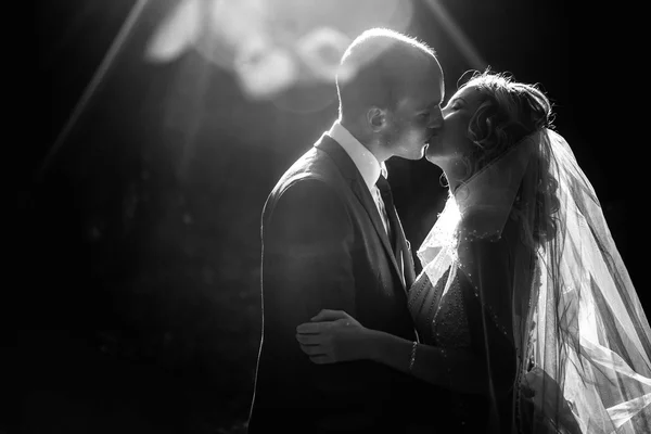 Glückliche Braut und eleganter Bräutigam — Stockfoto