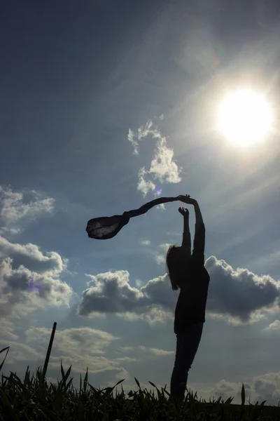 Silueta de chica en el campo de viento — Foto de Stock