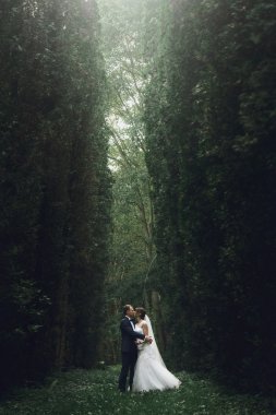 lüks gelin ve şık damat