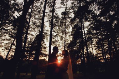 mutlu gelin ve şık damat