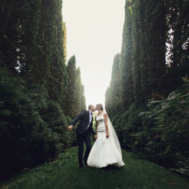 lüks gelin ve şık damat