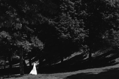 esmer gelin ve şık damat