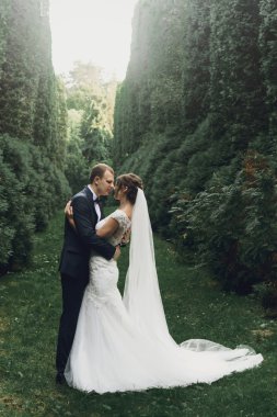 lüks gelin ve şık damat