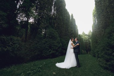 lüks gelin ve şık damat