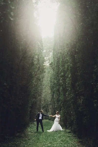 Luxury bride and stylish groom — Stock Photo, Image