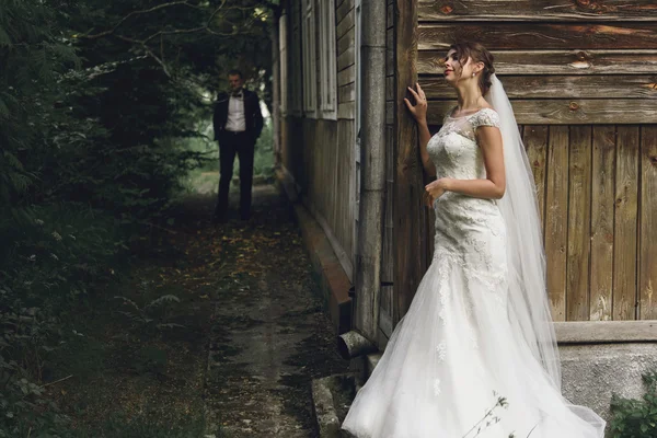 Noiva de luxo e noivo elegante — Fotografia de Stock