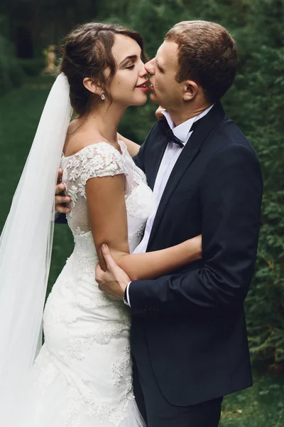 Розкішна наречена і стильний наречений — стокове фото