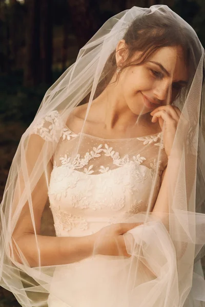 Splendida sposa felice elegante — Foto Stock